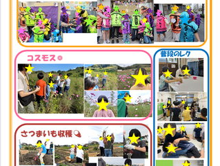 11月のお知らせ