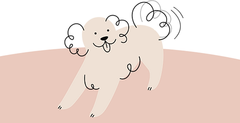 CODA, le nouveau concept dédié au bien-être des chiens et des chats
