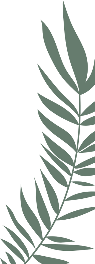 feuille