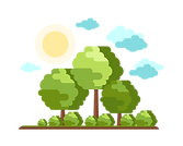 PROSOURCE _1 trees sun.png
