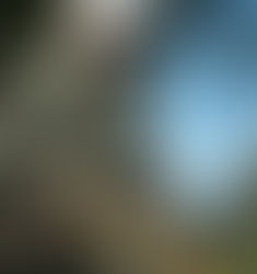 Are Sponge Baths Good Enough?