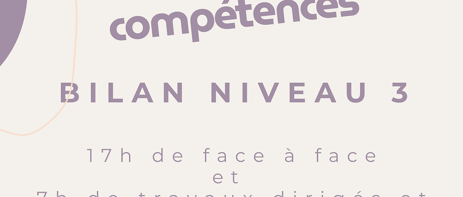 Bilan de compétences niveau 3