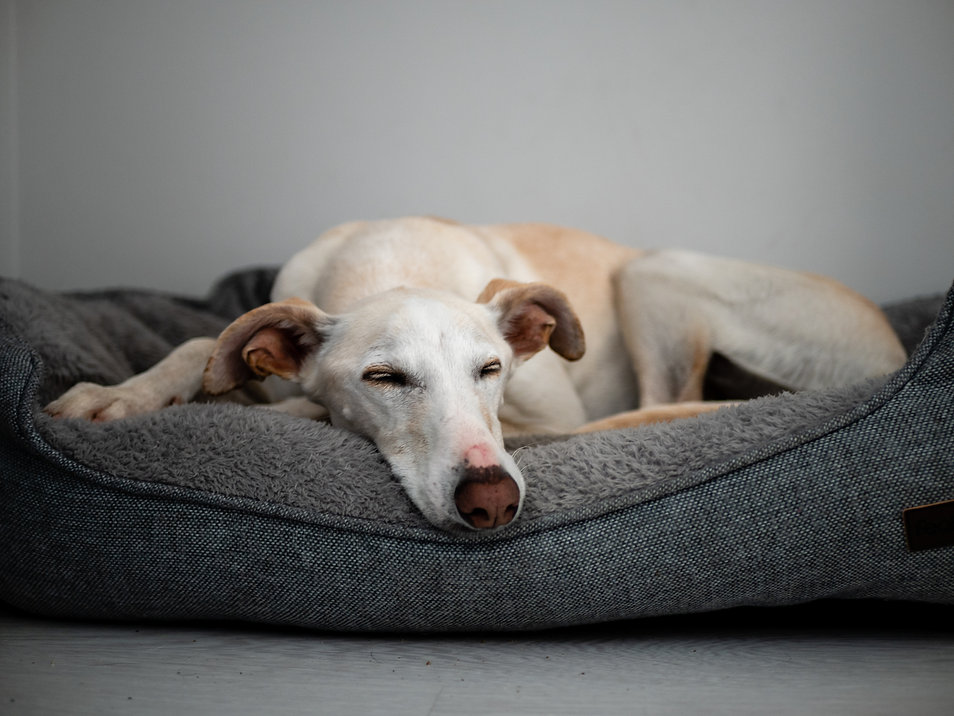 AdobeStock_420229061.jpeg