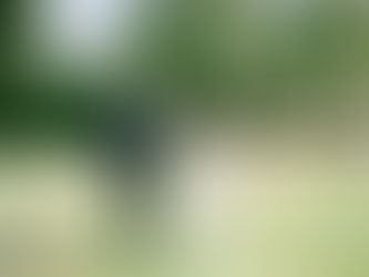 Kelly and Bridget Wedding