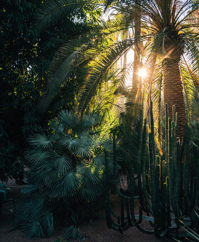 Morocco06.jpg