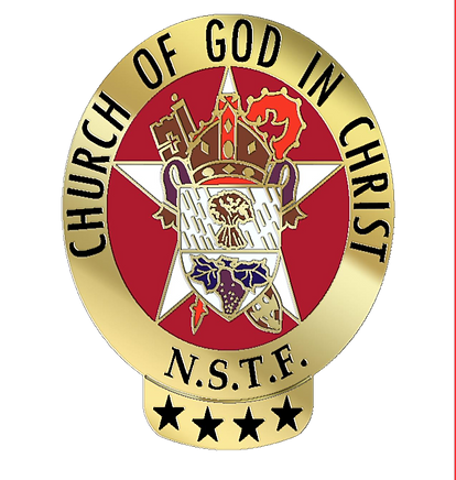 NSTF 2017 Image Lapel Pin - Four Star Black Background.png
