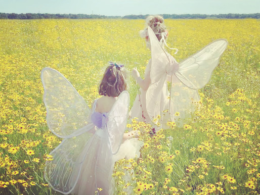 MOI, VOUS, LES ÉNERGIES ✨ Les fées 🧚🏻♀️