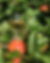 Screen Shot 2021-08-30 at 1.02.44 PM.png