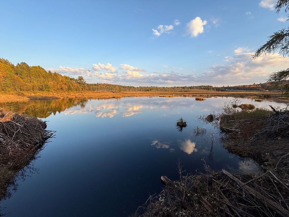 Eye-level view of an ATV parked beside a quiet northern lake surrounded by fall colours near Algonquin Park