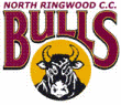 northringwoodcc-logo.gif