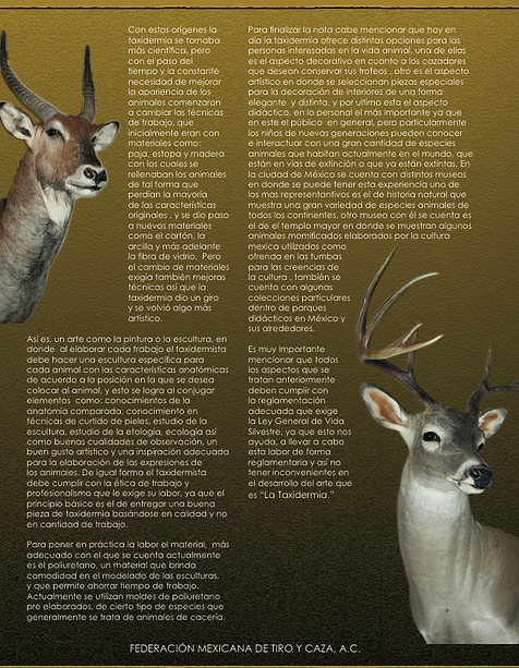 Captura de pantalla 2020-10-29 a las 3.0