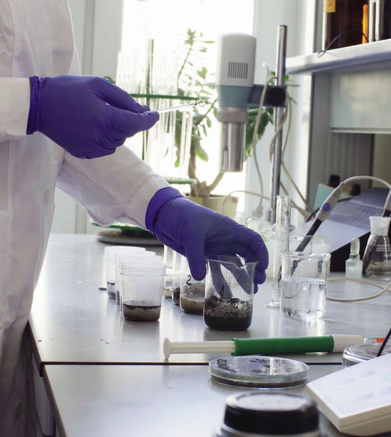 A scientist analyzes soil samples in glass beakers