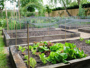 Fencing to Protect Your Garden Bed