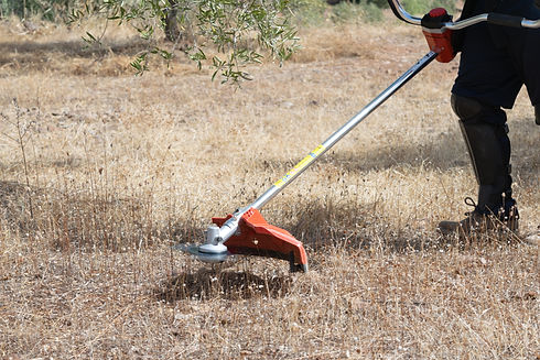 The worker has a brush cutter