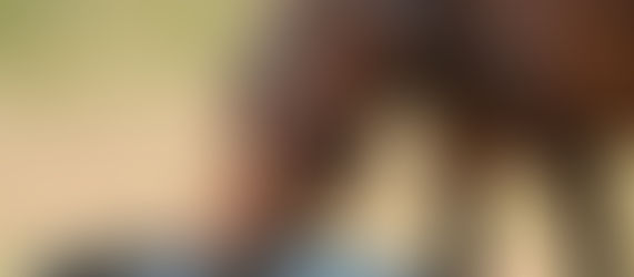 How To Cool Your Horses When It’s Hot Outside