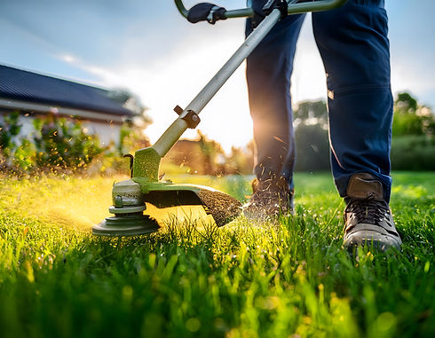 Legs of a man while cutting grass with a brush cutter. 