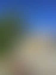 Day 65 ...... Trondheim to Osen......129 km .....(total 5,319)