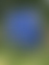 Day 37 ...... Guntersblum .... Rest Day II .......2,931 km