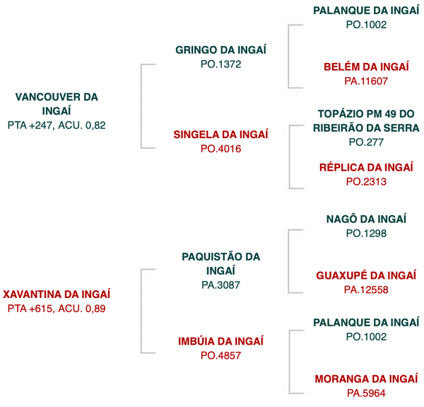 Captura de Tela 2026-03-21 às 15.31.25.png