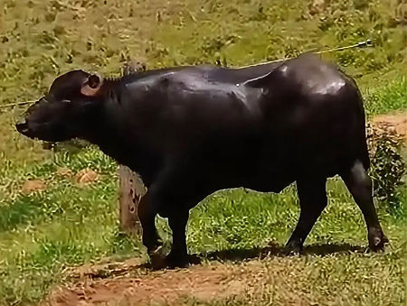 WhatsApp Image 2026-03-21 at 12.52.57.jpeg