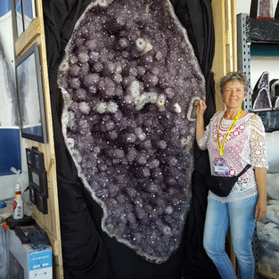 MesseTucson Amethystblumen