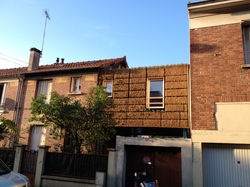 façade végétalisée sur rue
