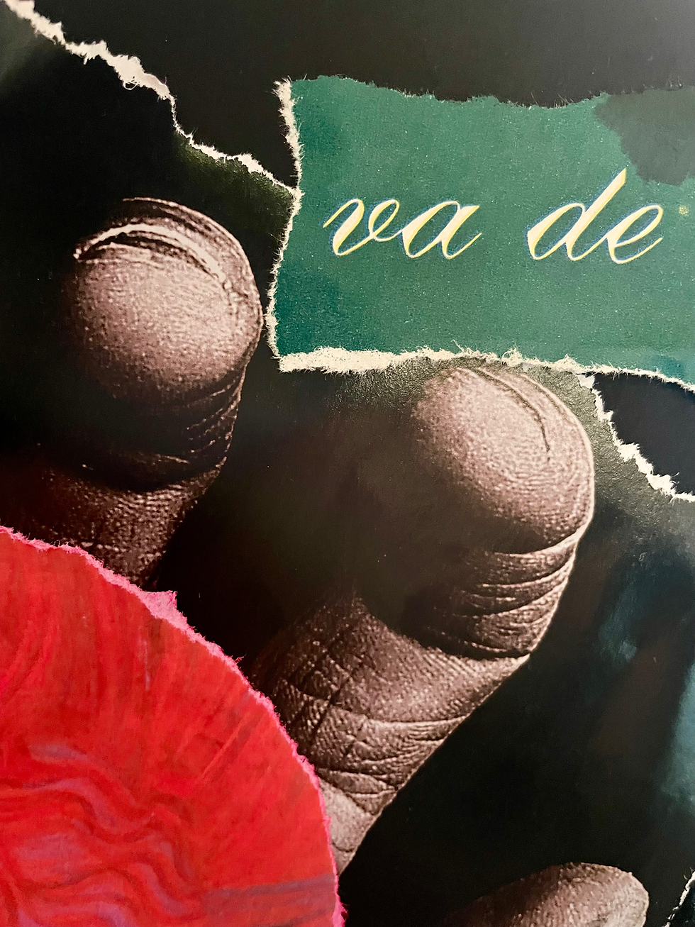 Miniatura: VA DE SOI!
