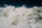 L1022907.jpg