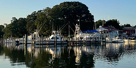 Dennis Point Marina and Campground.jpeg