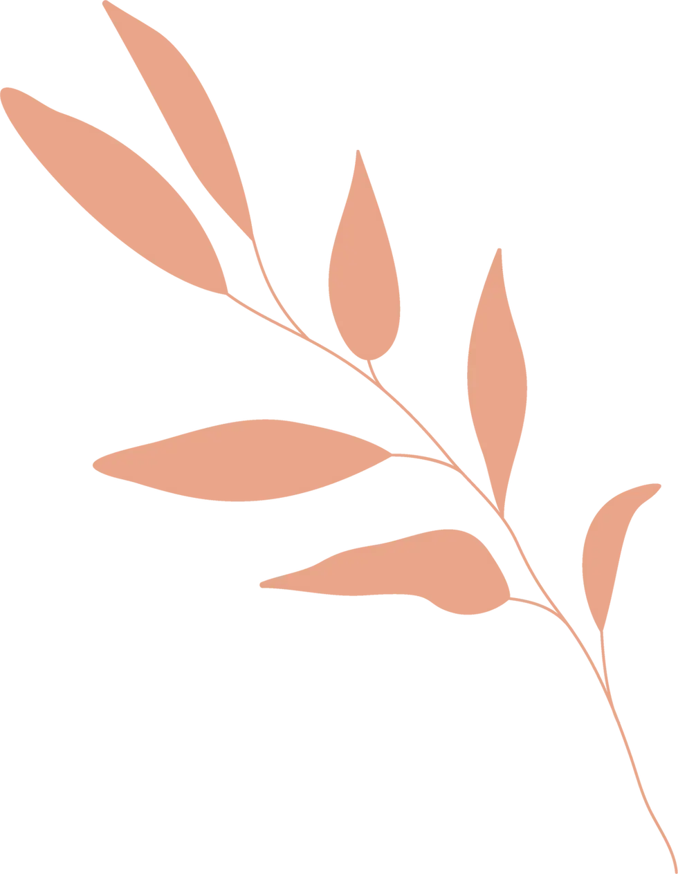 Leaves.webp