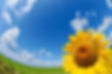 フォトAC_3507930_m.jpg