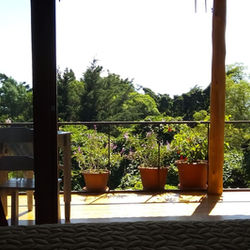 WhatsApp Image 2020-11-12 at 11.48.15 AM.jpeg