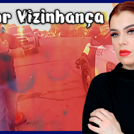 TEMA SEU VIZINHO - A O PIOR VIZINHANÇA /VÍDEO 2 ( NETFLIX)
