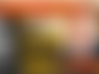 CLÁUDIA LESSIN RODRIGUES - RIO DE JANEIRO 1977 ( NÃO POR ACASO)