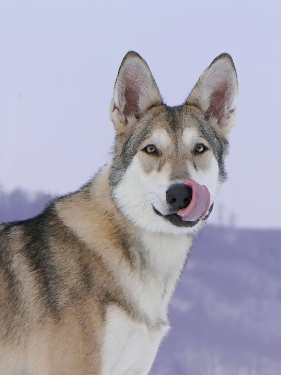 ree