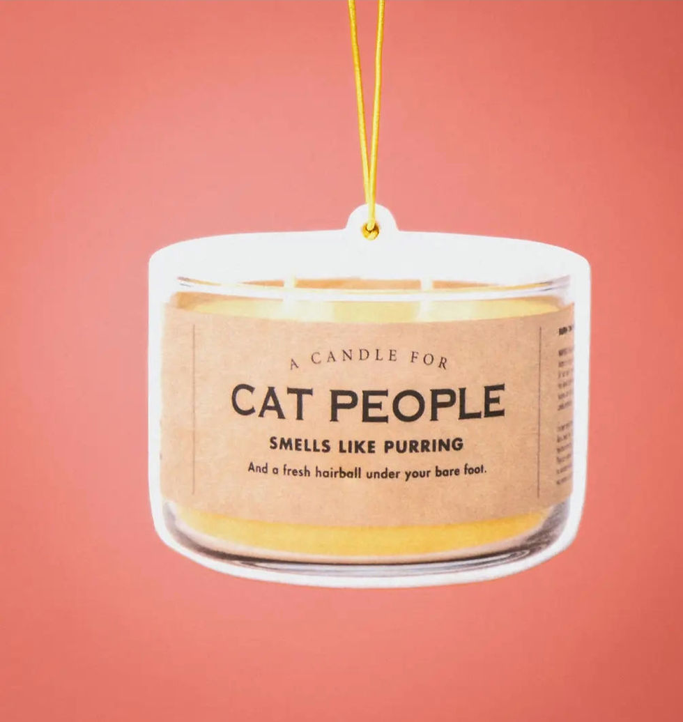 Thumbnail: Funny/Explicit Air Fresheners 