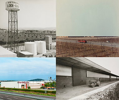 GLi edifici che hanno fatto la storia della Holding Familia. Le vetrerie Riunite, Borromini, Novaref e Vetri delle Venezie