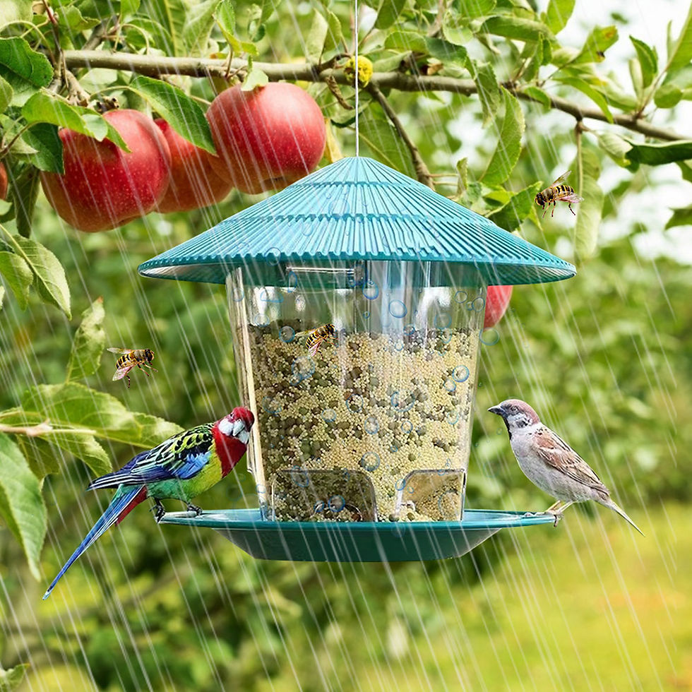 Miniatura: Bird Feeder Automatic Foot Feeding Tool Outdoor Bird Feeder Hanging Nut Feeding 