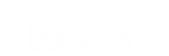 Nuovo progetto (25).png