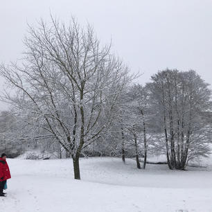 In The Snow 