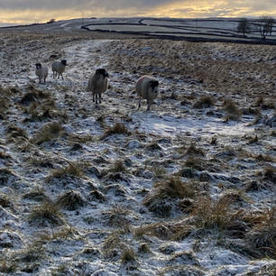 Walking in Shap