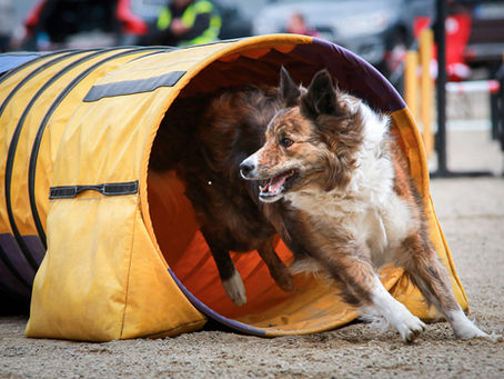 Agilityn syysepikset 1.11. 