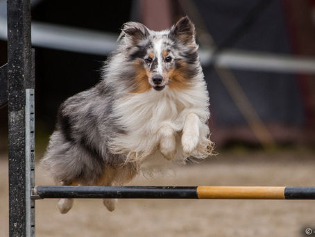 Kinkunsulatusepikset 28.12.