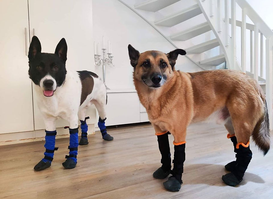 82095320_3141698262720993_21279655986200