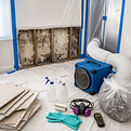 mold-remediation.png