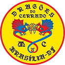 Brasão atualizado.png