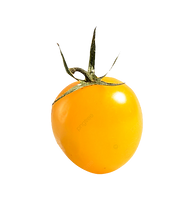 image_edited.png