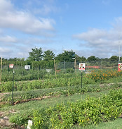 IMG_2842.jpg