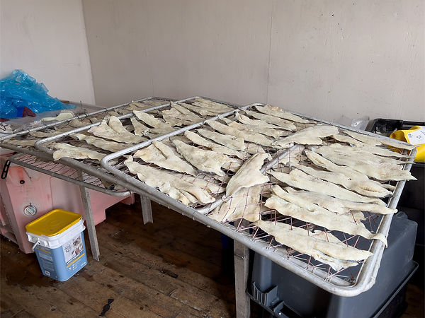 salt cod copy.jpg