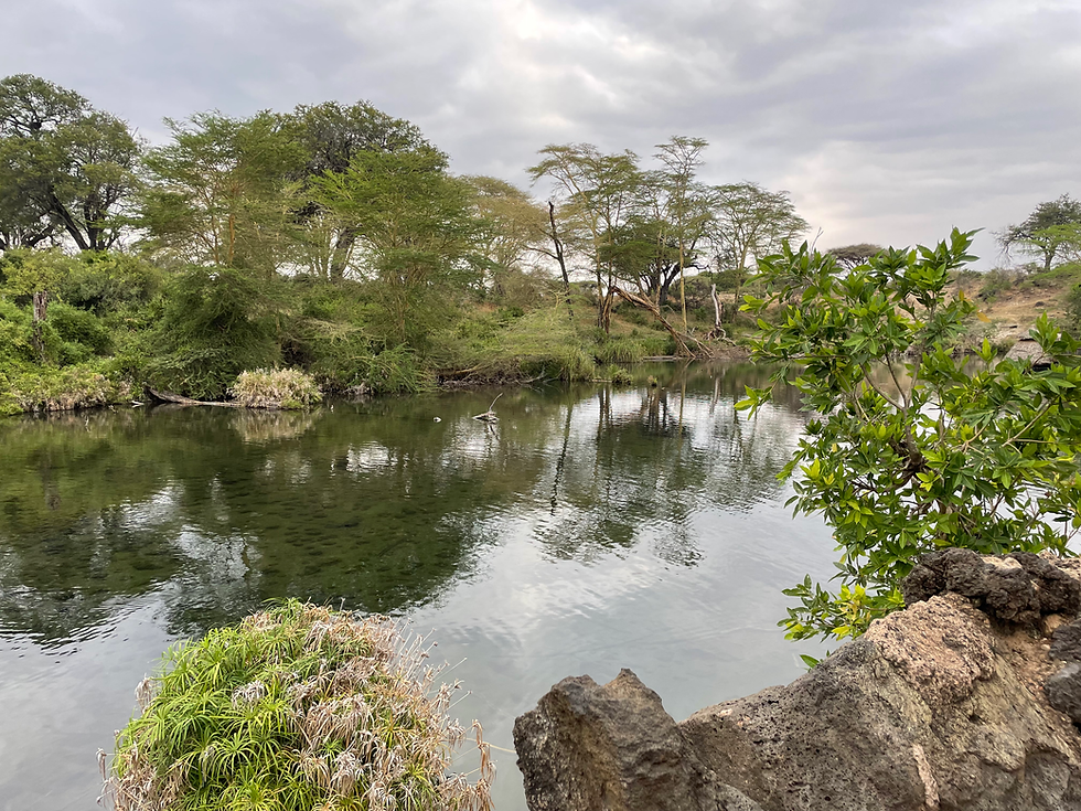 AQUARiver-Kenia-2024 (1).HEIC